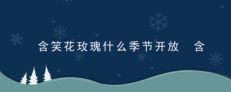 含笑花玫瑰什么季节开放 含笑花哪个季节开放呢